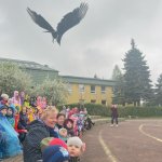 Przedszkolaki obejrzały pokaz ptaków drapieżnych