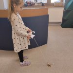 img_20250217_082547