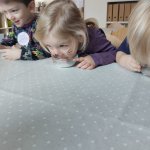 img_20250217_093149
