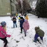 img_20241120_114944