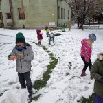 img_20241120_115025